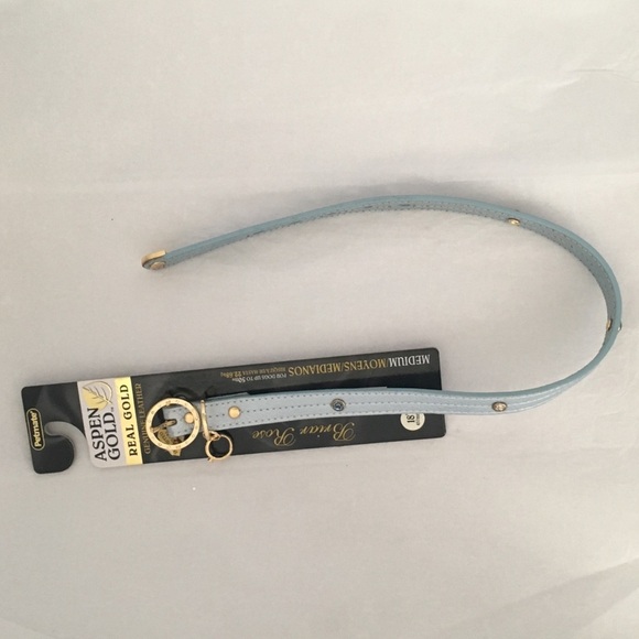 Aspen Gold Blue Collar - Picture 3 of 5